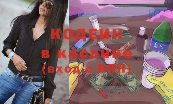 сатива Покачи