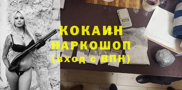 сатива Покачи